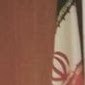Milad Fatahi